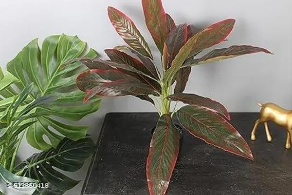 Brown_Premium_Aglaonema_Artificial_Plant_For_Home_Decor