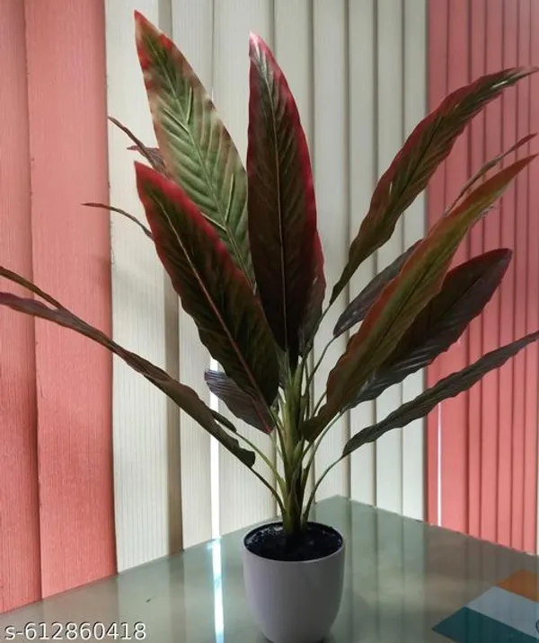 Brown_Premium_Aglaonema_Artificial_Plant_For_Home_Decor