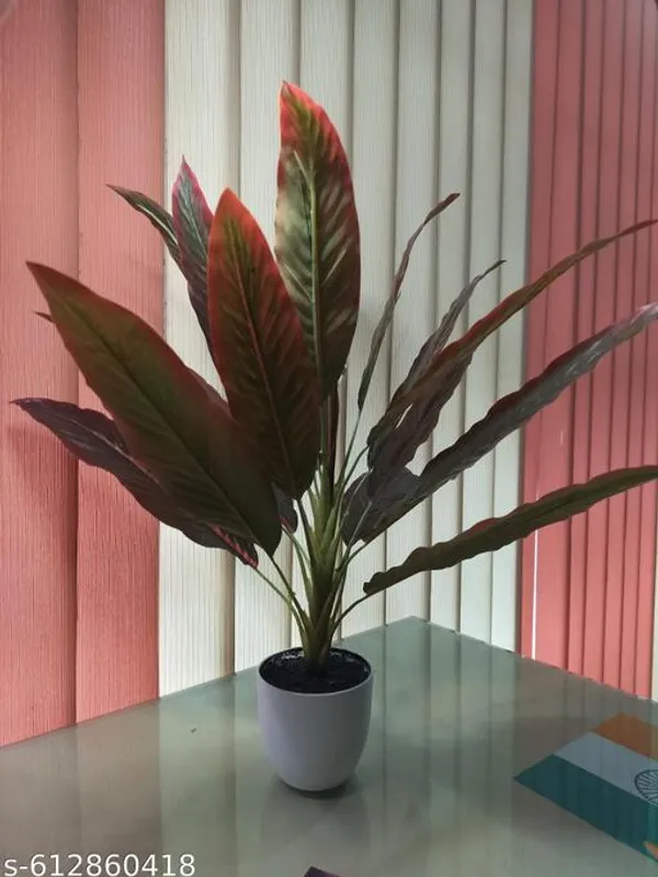 Brown_Premium_Aglaonema_Artificial_Plant_For_Home_Decor