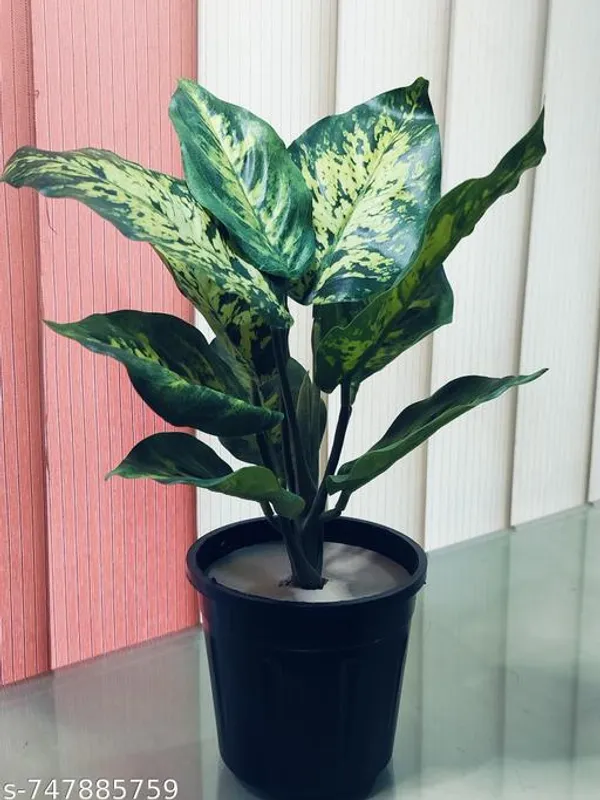 Green_Artificial_Dieffenbachia_Plant_For_Home_Decor_Table_Top_With_Pot_Height_1Foot