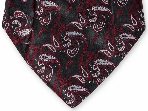 AACHINO_Premium_Cravat_for_Men_|_Micro_Fabric_Luxury_Neckwear_|_Wedding,_Party_&_Formal_Wear_|_Soft,_Elegant_&_Comfortable_Ascot_Tie_|_Perfect_Gifting_Accessory_for_Gentlemen_(A9_Wine)