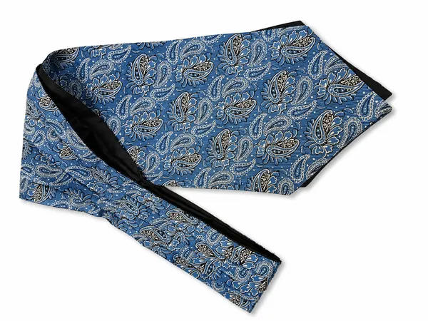 AACHINO_Luxury_Paisley_Micro_Silk_Ascot_Tie_for_Men_-_Premium_Italian_Style_Cravat_|_Formal_&_Casual_Neckwear_for_Weddings,_Parties,_and_All_Seasons_|_Elegant_Men's_Fashion_Accessory_(Sky_Blue)