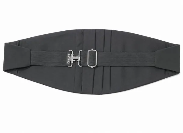 AACHINO_Premium_Men's_Micro_Fiber_Neck_Bow_Tie_&_Cummerbund_Set_-_Elegant_Slim_Tie_for_Weddings,_Grooms_&_Formal_Events_-_Luxury_Smooth_Finish_Tuxedo_Accessory_with_Gift_Box_(Grey)