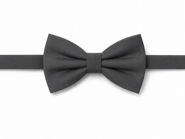 AACHINO_Premium_Men's_Micro_Fiber_Neck_Bow_Tie_&_Cummerbund_Set_-_Elegant_Slim_Tie_for_Weddings,_Grooms_&_Formal_Events_-_Luxury_Smooth_Finish_Tuxedo_Accessory_with_Gift_Box_(Grey)