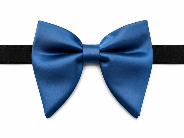 AACHINO_Premium_Bow_Tie_for_Men_|_Tuxedo_Fabric_Formal_Bow_Tie_Pack_of_1,_A9I_Tex_Bow