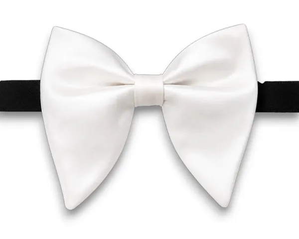 AACHINO_Premium_Bow_Tie_for_Men_|_Tuxedo_Fabric_Formal_Bow_Tie_Pack_of_1,_A9K_Tex_Bow