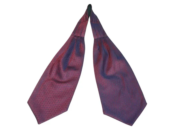 Men’s_Luxury_Paisley_Ascot_Tie_Cravat_–_Premium_Micro_Silk_Italian_Style_Neckwear_for_Wedding,_Party_&_Formal_Wear_|_AACHINO
