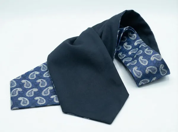Men’s_Luxury_Paisley_Ascot_Tie_Cravat_–_Premium_Micro_Silk_Italian_Style_Neckwear_for_Wedding,_Party_&_Formal_Wear_|_AACHINO