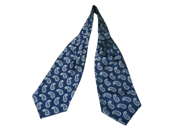 Men’s_Luxury_Paisley_Ascot_Tie_Cravat_–_Premium_Micro_Silk_Italian_Style_Neckwear_for_Wedding,_Party_&_Formal_Wear_|_AACHINO