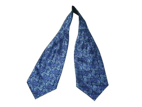 Men’s_Luxury_Paisley_Ascot_Tie_Cravat_–_Premium_Micro_Silk_Italian_Style_Neckwear_for_Wedding,_Party_&_Formal_Wear_|_AACHINO