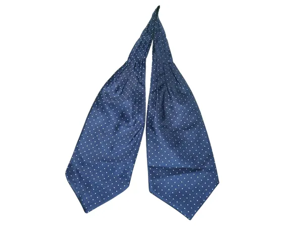Men’s_Luxury_Paisley_Ascot_Tie_Cravat_–_Premium_Micro_Silk_Italian_Style_Neckwear_for_Wedding,_Party_&_Formal_Wear_|_AACHINO
