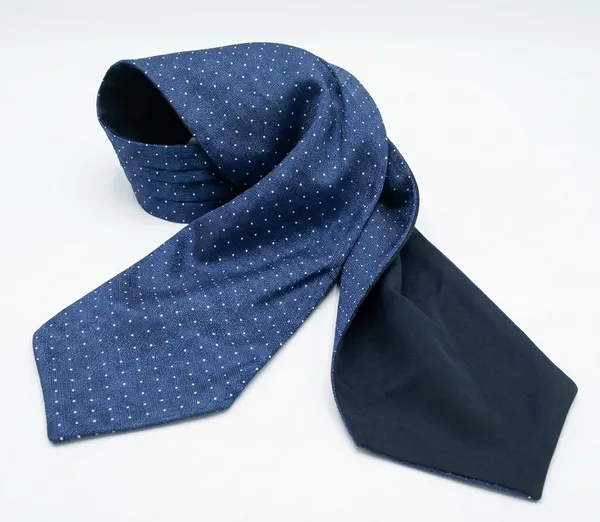 Men’s_Luxury_Paisley_Ascot_Tie_Cravat_–_Premium_Micro_Silk_Italian_Style_Neckwear_for_Wedding,_Party_&_Formal_Wear_|_AACHINO