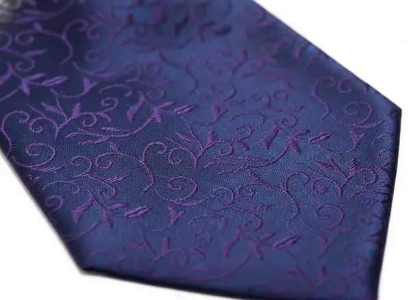 Men’s_Luxury_Paisley_Ascot_Tie_Cravat_–_Premium_Micro_Silk_Italian_Style_Neckwear_for_Wedding,_Party_&_Formal_Wear_|_AACHINO