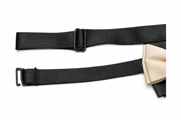 Luxury_Pre_Tied_Bow_Tie_for_Men_–_Premium_Micro_Fabric_Adjustable_Neck_Bow_for_Wedding_&_Tuxedo_Wear_|_AACHINO