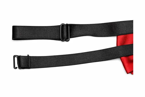 Luxury_Pre_Tied_Bow_Tie_for_Men_–_Premium_Micro_Fabric_Adjustable_Neck_Bow_for_Wedding_&_Tuxedo_Wear_|_AACHINO