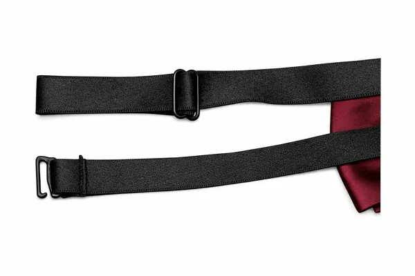 Luxury_Pre_Tied_Bow_Tie_for_Men_–_Premium_Micro_Fabric_Adjustable_Neck_Bow_for_Wedding_&_Tuxedo_Wear_|_AACHINO