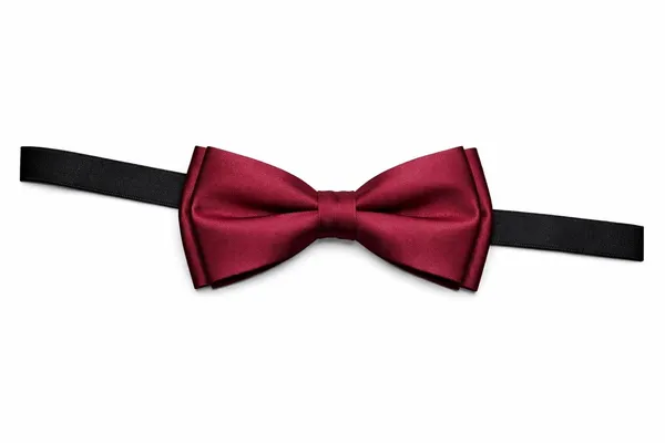 Luxury_Pre_Tied_Bow_Tie_for_Men_–_Premium_Micro_Fabric_Adjustable_Neck_Bow_for_Wedding_&_Tuxedo_Wear_|_AACHINO
