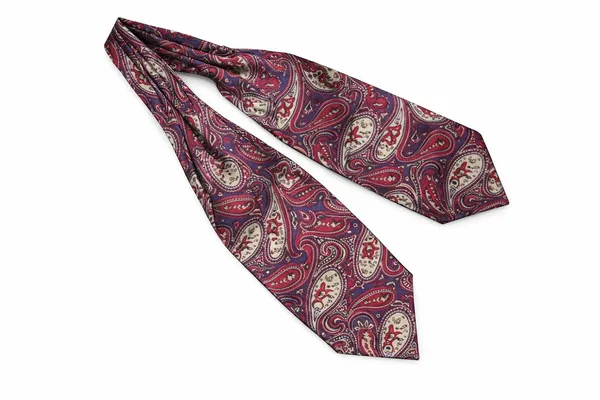 Men’s_Luxury_Paisley_Ascot_Tie_Cravat_–_Premium_Micro_Silk_Italian_Style_Neckwear_for_Wedding,_Party_&_Formal_Wear_|_AACHINO
