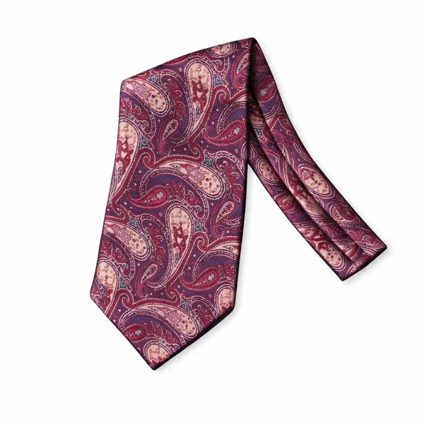 Men’s_Luxury_Paisley_Ascot_Tie_Cravat_–_Premium_Micro_Silk_Italian_Style_Neckwear_for_Wedding,_Party_&_Formal_Wear_|_AACHINO