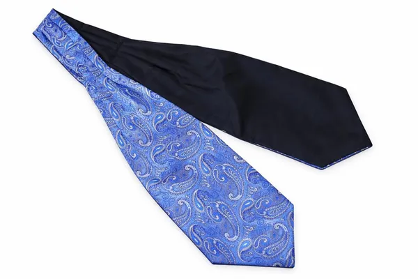 Men’s_Luxury_Paisley_Ascot_Tie_Cravat_–_Premium_Micro_Silk_Italian_Style_Neckwear_for_Wedding,_Party_&_Formal_Wear_|_AACHINO