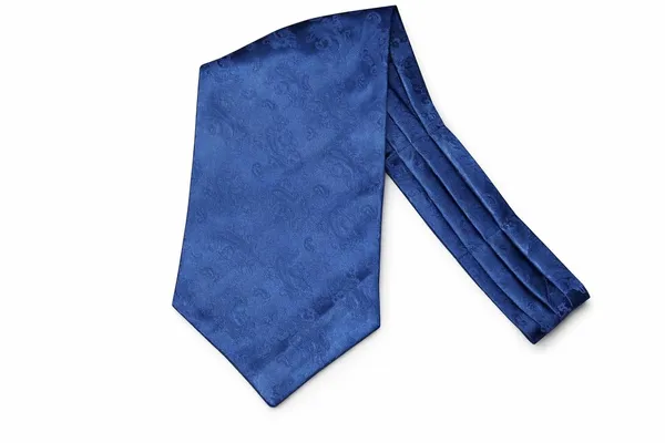 Men’s_Luxury_Paisley_Ascot_Tie_Cravat_–_Premium_Micro_Silk_Italian_Style_Neckwear_for_Wedding,_Party_&_Formal_Wear_|_AACHINO