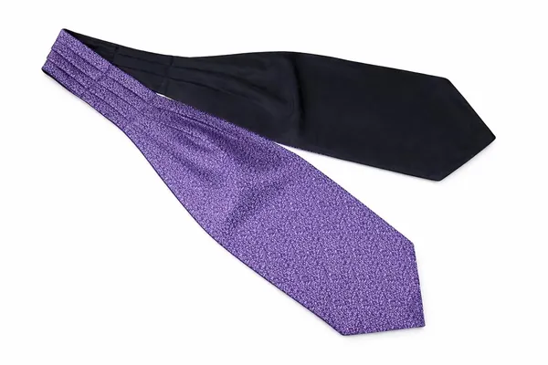 Men’s_Luxury_Paisley_Ascot_Tie_Cravat_–_Premium_Micro_Silk_Italian_Style_Neckwear_for_Wedding,_Party_&_Formal_Wear_|_AACHINO