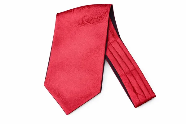 Men’s_Luxury_Paisley_Ascot_Tie_Cravat_–_Premium_Micro_Silk_Italian_Style_Neckwear_for_Wedding,_Party_&_Formal_Wear_|_AACHINO
