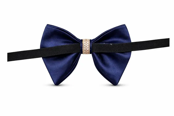 AACHINO_Designer_Italian_Bow_Tie_with_Gift_Box_–_Elegant_Men’s_Tuxedo_Neck_Bow_for_Wedding_&_Party_Wear