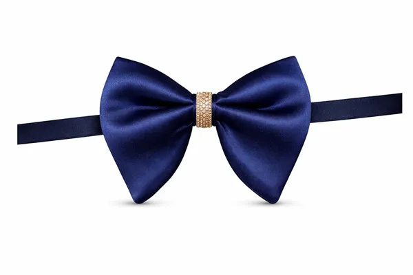 AACHINO_Designer_Italian_Bow_Tie_with_Gift_Box_–_Elegant_Men’s_Tuxedo_Neck_Bow_for_Wedding_&_Party_Wear