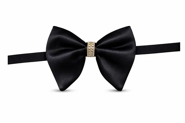 AACHINO_Designer_Italian_Bow_Tie_with_Gift_Box_–_Elegant_Men’s_Tuxedo_Neck_Bow_for_Wedding_&_Party_Wear