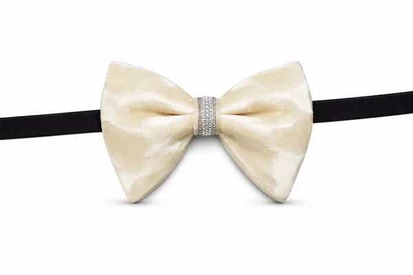 AACHINO_Premium_Velvet_Bow_Tie_for_Men_with_Gift_Box_|_Pre-Tied_Adjustable_NeckBow_for_Wedding,_Party_&_Formal_Wear_(Beige)