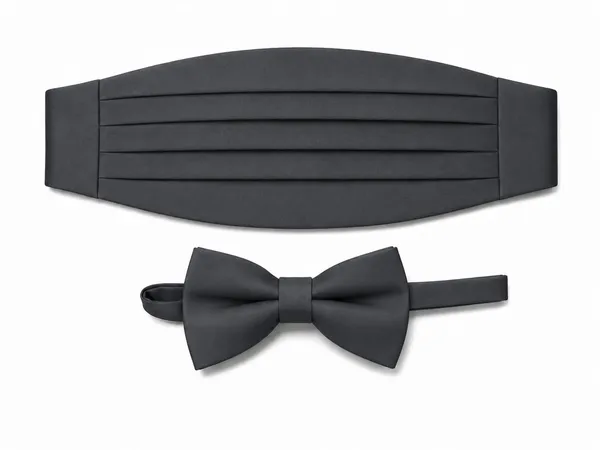 AACHINO_Premium_Men's_Micro_Fiber_Neck_Bow_Tie_&_Cummerbund_Set_-_Elegant_Slim_Tie_for_Weddings,_Grooms_&_Formal_Events_-_Luxury_Smooth_Finish_Tuxedo_Accessory_with_Gift_Box_(Grey)