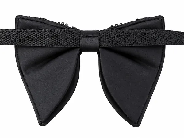 Embroidered_Bow_Tie_for_Men_|_Tuxedo_Wedding_Bow_Tie_Pack_of_1,_A9E_Emb_Bow
