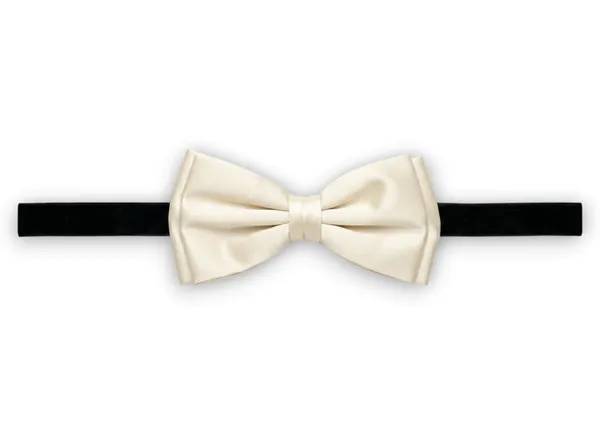 AACHINO_Premium_Micro_Fabric_Bow_Tie_for_Men_�_Pre-Tied_Adjustable_NeckBow_for_Wedding,_Party,_Tuxedo_&_Formal_Wear_(Beige)