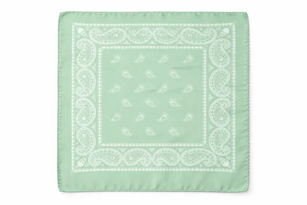 AACHINO_Men�s_Formal_Accessory_Set_�_Pocket_Square,_Cufflinks_&_Lapel_Pin_with_Premium_Gift_Box_|_Polyester_Designer_Combo_for_Wedding,_Party_&_Office_Wear_(Amb_Green_Er)