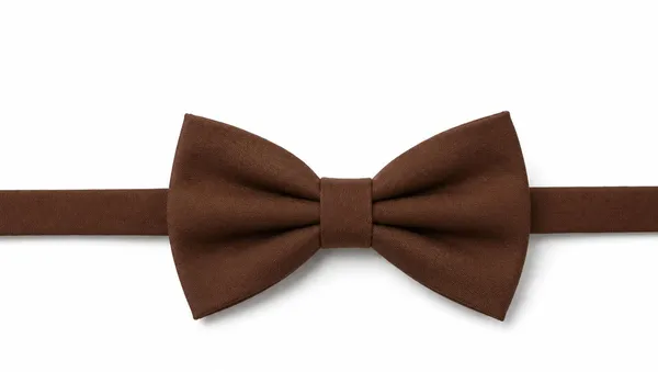 AACHINO_Premium_Men's_Micro_Fiber_Neck_Bow_Tie_&_Cummerbund_Set_-_Elegant_Slim_Tie_for_Weddings,_Grooms_&_Formal_Events_-_Luxury_Smooth_Finish_Tuxedo_Accessory_with_Gift_Box_(Brown)
