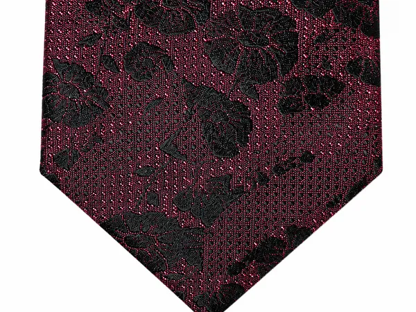 AACHINO_Silk_Necktie_for_Men,_Formal_Tie_with_Gift_Box,_Pack_of_1_(Achi_Silk_Tie_10)