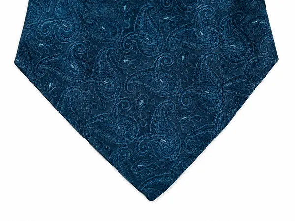 AACHINO_Premium_Cravat_for_Men_|_Micro_Fabric_Luxury_Neckwear_|_Wedding,_Party_&_Formal_Wear_|_Soft,_Elegant_&_Comfortable_Ascot_Tie_|_Perfect_Gifting_Accessory_for_Gentlemen_(A9_Blufly)