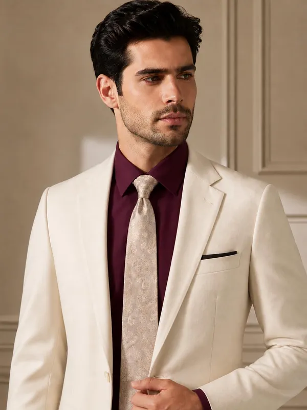 AACHINO_Silk_Necktie_for_Men,_Formal_Tie_with_Gift_Box,_Pack_of_1_(Achi_Silk_Tie_20)