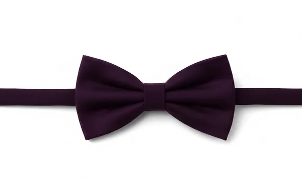 AACHINO_Premium_Men's_Micro_Fiber_Neck_Bow_Tie_&_Cummerbund_Set_-_Elegant_Slim_Tie_for_Weddings,_Grooms_&_Formal_Events_-_Luxury_Smooth_Finish_Tuxedo_Accessory_with_Gift_Box_(Purple)