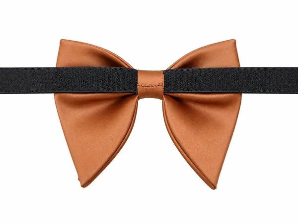 AACHINO_Premium_Bow_Tie_for_Men_|_Tuxedo_Fabric_Formal_Bow_Tie_Pack_of_1,_A9D_Tex_Bow