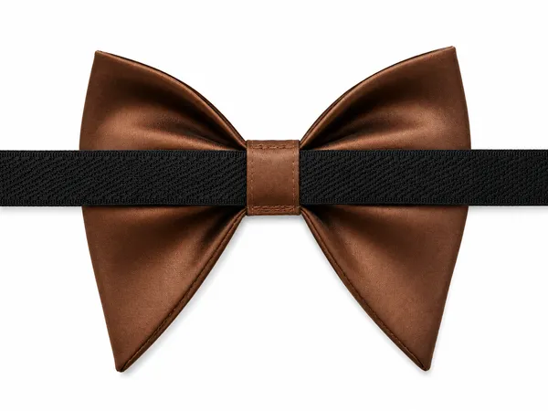AACHINO_Premium_Bow_Tie_for_Men_|_Tuxedo_Fabric_Formal_Bow_Tie_Pack_of_1,_A9A_Tex_Bow