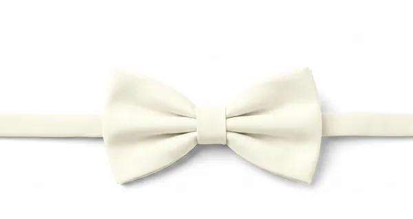 AACHINO_Premium_Men's_Micro_Fiber_Neck_Bow_Tie_&_Cummerbund_Set_-_Elegant_Slim_Tie_for_Weddings,_Grooms_&_Formal_Events_-_Luxury_Smooth_Finish_Tuxedo_Accessory_with_Gift_Box_(Ivori)