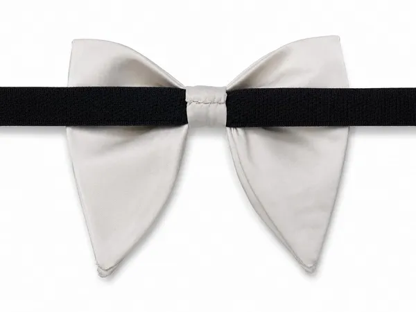 AACHINO_Premium_Bow_Tie_for_Men_|_Tuxedo_Fabric_Formal_Bow_Tie_Pack_of_1,_A9B_Tex_Bow
