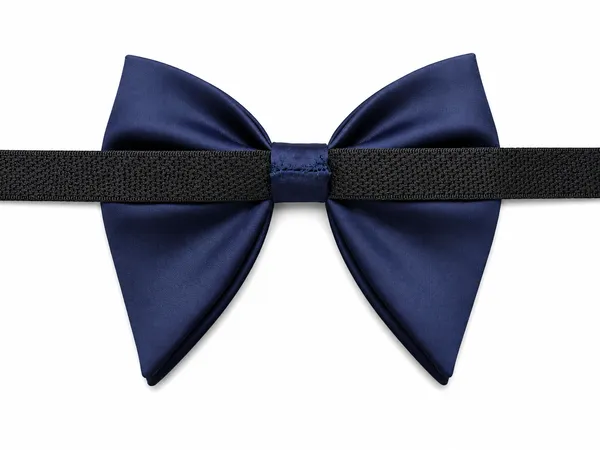 AACHINO_Premium_Bow_Tie_for_Men_|_Tuxedo_Fabric_Formal_Bow_Tie_Pack_of_1,_A9E_Tex_Bow