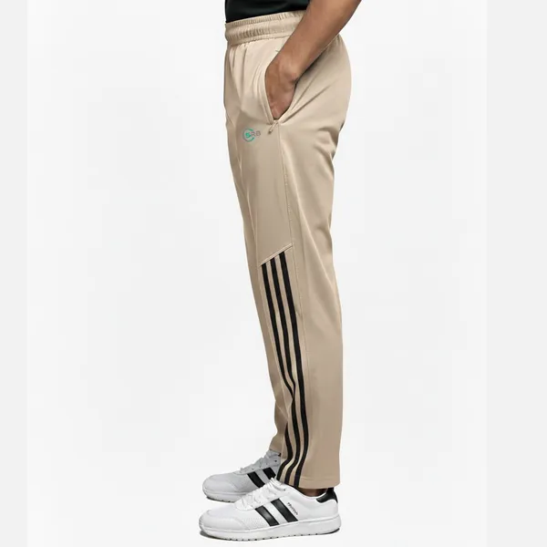 SRB_Striped_Men_Beige_Track_Pants