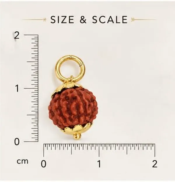 Panchamukhi_Rudraksha_Spiritual_Pendant_(Gold)