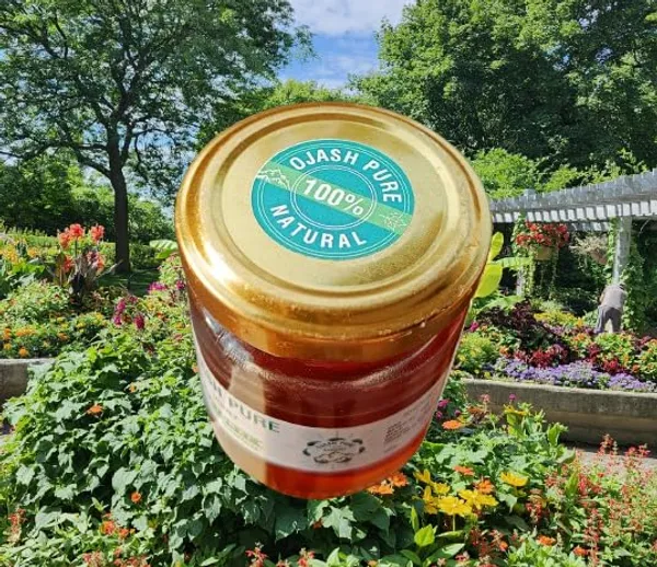 Ojash_Pure_Green_Tea_And_Natural_Honey_Glass_Jar_Natural_Antioxidant_Rich_Fat_Cutter