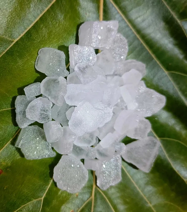 Ojash_Pure_Kapur_Camphor_Is_A_Herb_That_Has_Various_Uses_And_Benefits