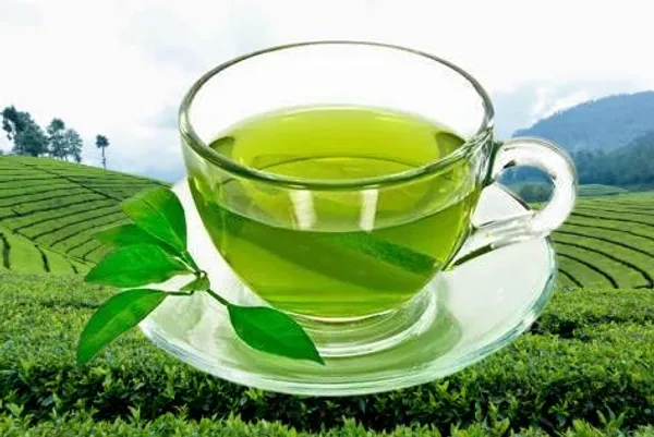 Ojash_Pure_Green_And_Harbal_Tea_Glass_Jar_Natural_Antioxidant_Rich_Fat_Cutter